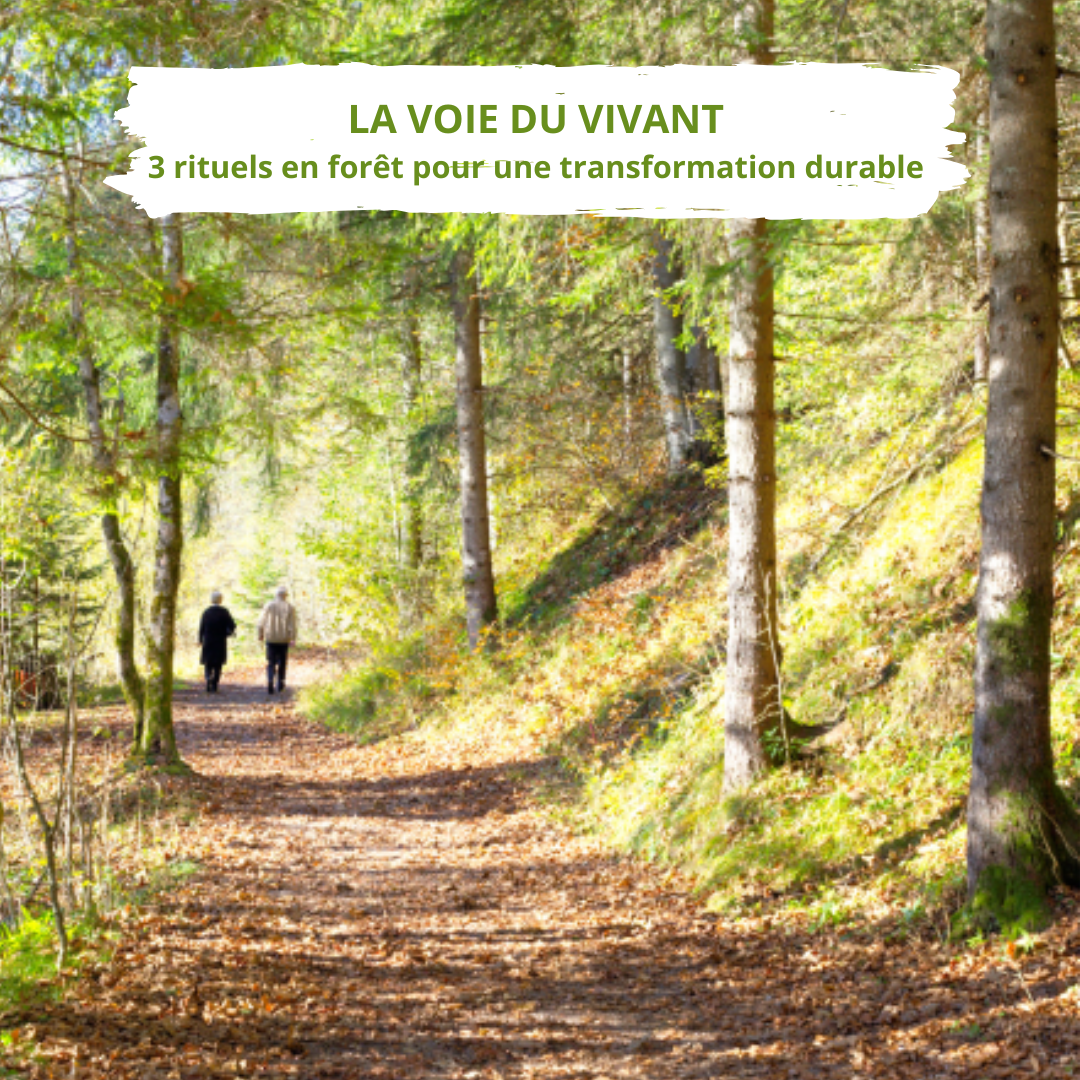 La Voie du Vivant - un cycle de 3 rituels en forêt